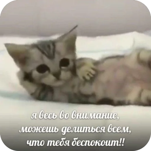 Стикер Kukpuk6 - 1