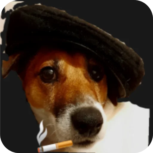 Кукурва рюский - 