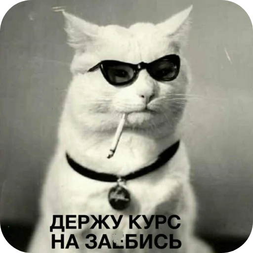 Стикер KumarNV - 1