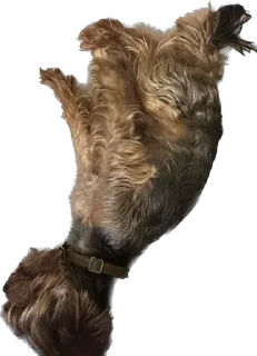 Стикер кентофарик - 8