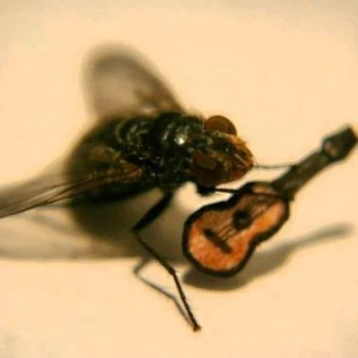 Стикер Kuplinyanka_by_SozdaiStickeriBot - 1