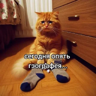 Sticker Куплинянка @SozdaiStickeriBot - 9