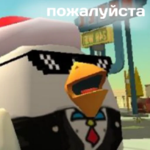 Кур кур сеня - 