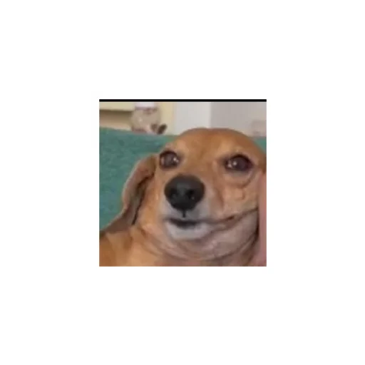 Стикер Куропаточка - 3