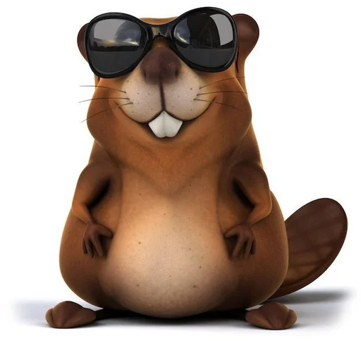 Kurwa bober | https://t.me/computer_squad_chat2 - 