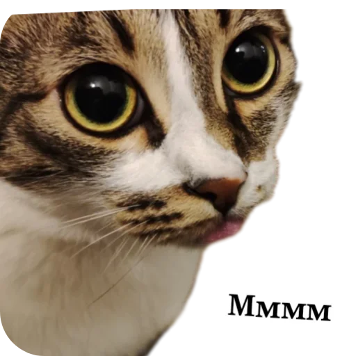 Стикер Kusok333 - 1