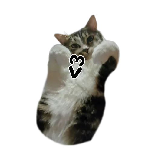 Кусок и Брюс - 