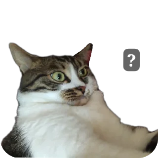 Sticker Кусок и Брюс - 7