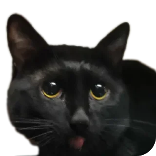 Sticker Кусок и Брюс - 11