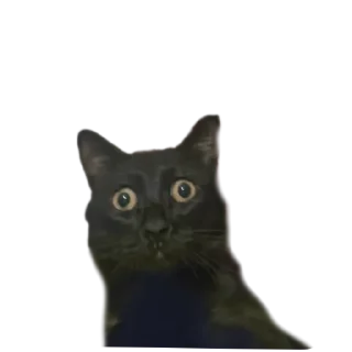 Sticker Кусок и Брюс - 6