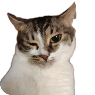 Sticker Кусок и Брюс - 10