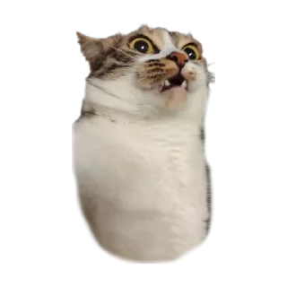 Sticker Кусок и Брюс - 2