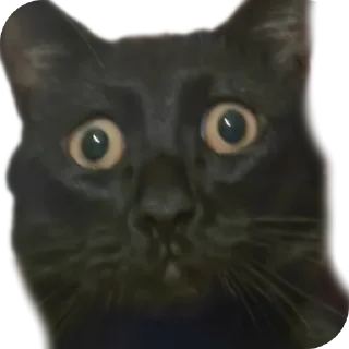 Sticker Кусок и Брюс - 4