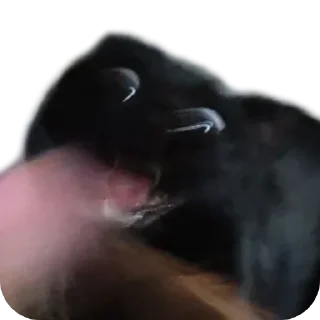 Sticker Кусок и Брюс - 1