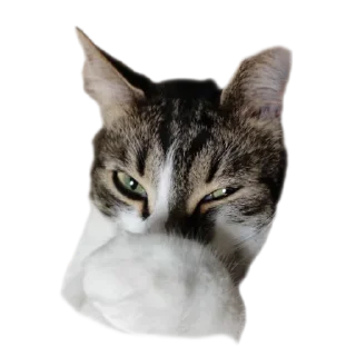 Sticker Кусок и Брюс - 8