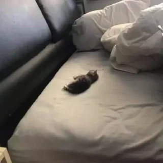 Sticker Кутики - 8