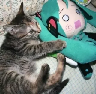 Sticker Кутики - 10