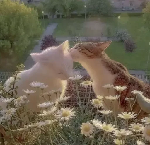 Sticker Kutikiiiiii - 1