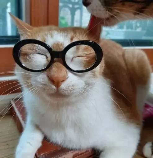 Стикер Kutikiiiiii - 1