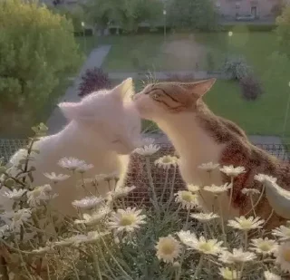 Sticker Кутики - 11