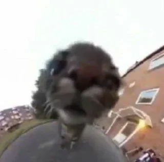 Sticker Кутики - 4