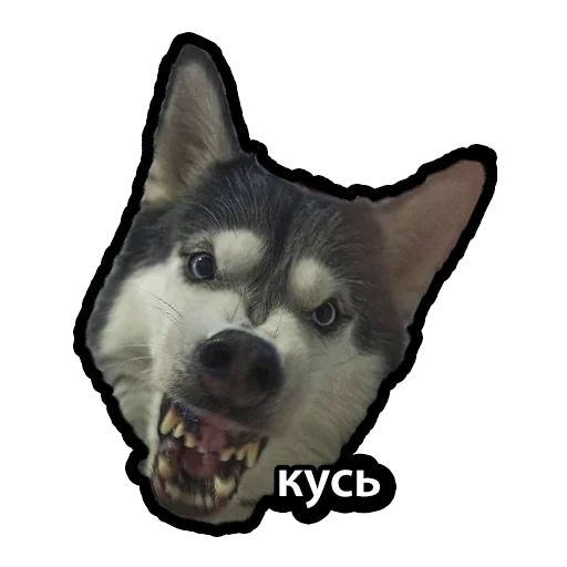 Sticker Kuzmich_Jager - 1