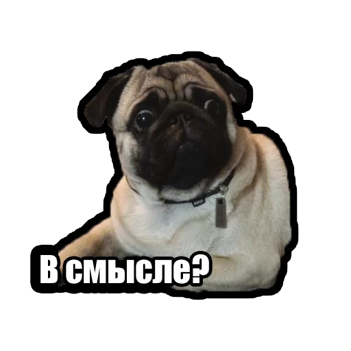 Sticker Kuzmich_Jager - 1