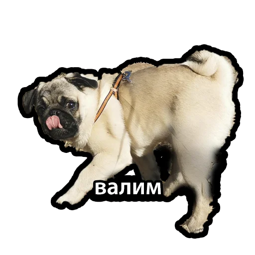 Sticker Kuzmich_Jager - 1