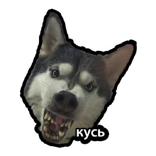 Sticker Kuzmich&Jager - 11