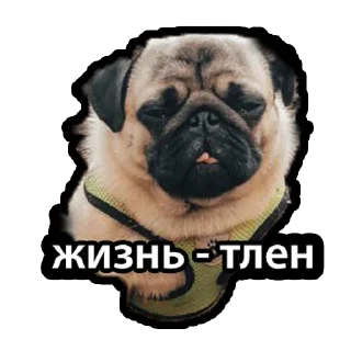 Sticker Kuzmich&Jager - 9