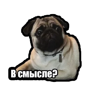 Sticker Kuzmich&Jager - 4