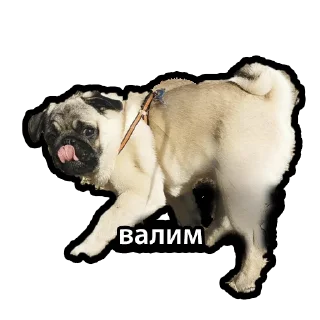 Sticker Kuzmich&Jager - 0