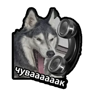 Sticker Kuzmich&Jager - 3