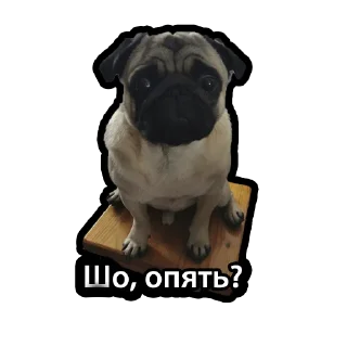 Sticker Kuzmich&Jager - 10