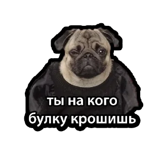 Sticker Kuzmich&Jager - 2