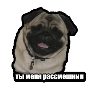 Sticker Kuzmich&Jager - 6