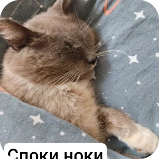 Стикер Кузя - 0