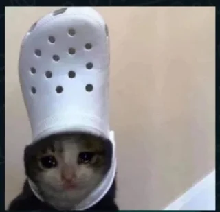 Sticker @Prince_xKv 's Memes Pack👀 - 4