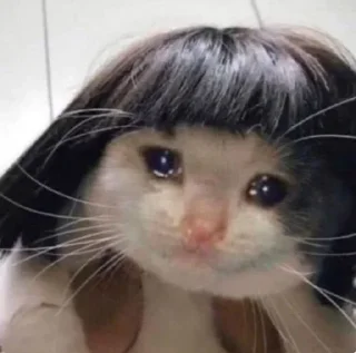 Sticker @Prince_xKv 's Memes Pack👀 - 8