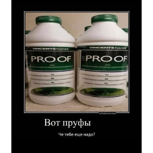 Sticker Kvasik_top - 1