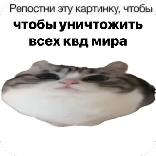 Sticker Квд отстой - 2