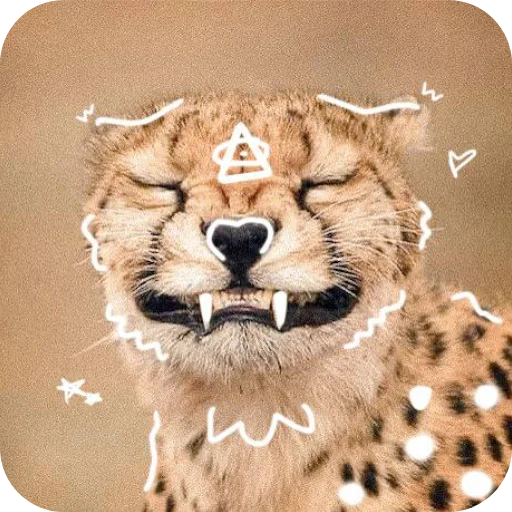 Стикер Kwadrobikaforyou - 1