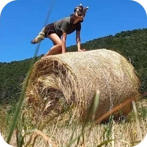 Стикер Kwadrobikaforyou - 1