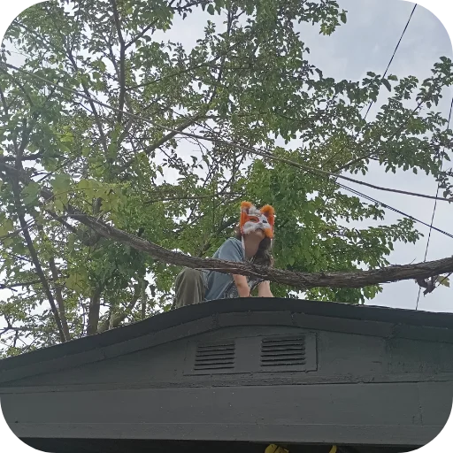 Стикер Kwadrobikaforyou - 1