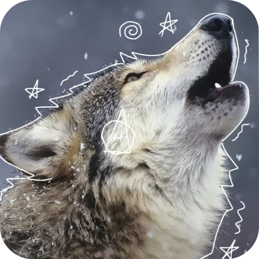 Стикер Kwadrobikaforyou - 1