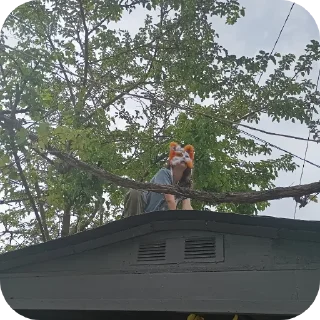 Sticker Qadrobik by @Qadrobic_f0x_bot - 9