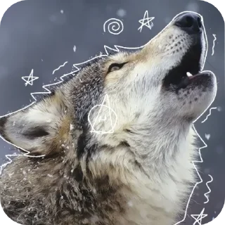 Sticker Qadrobik by @Qadrobic_f0x_bot - 5