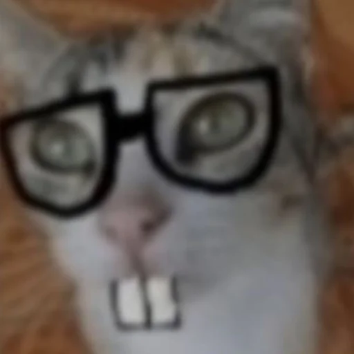 Я лю тебя ♡ - 