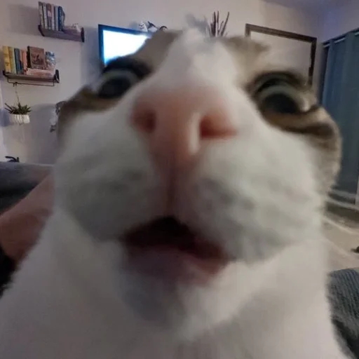 Стикер Kwowhv - 1