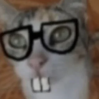 Sticker Я лю тебя ♡ - 8